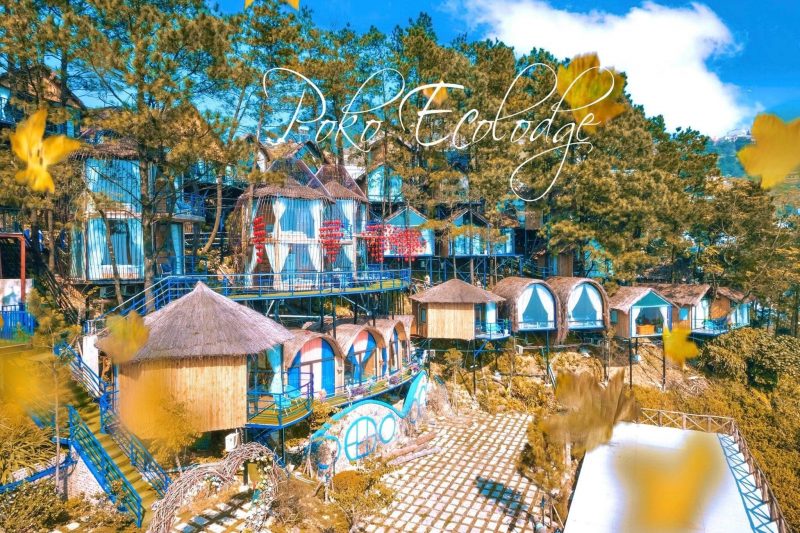 Hình ảnh Tam Đảo home stay đẹp