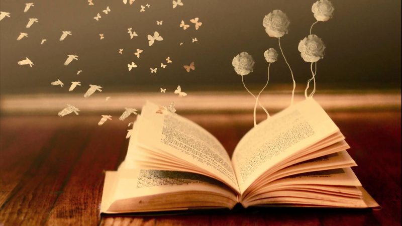Hình ảnh cuốn sách mở ra đẹp nhất