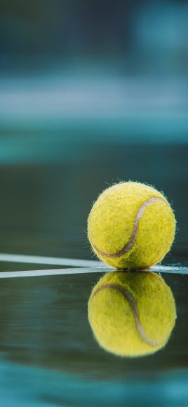 Hình ảnh quả bóng tennis sắc nét
