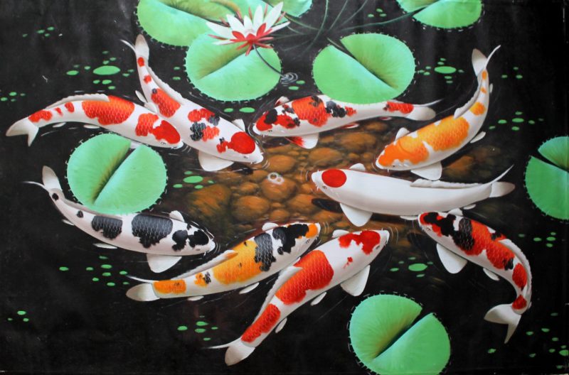 Hình nền cá chép tuyệt sắc