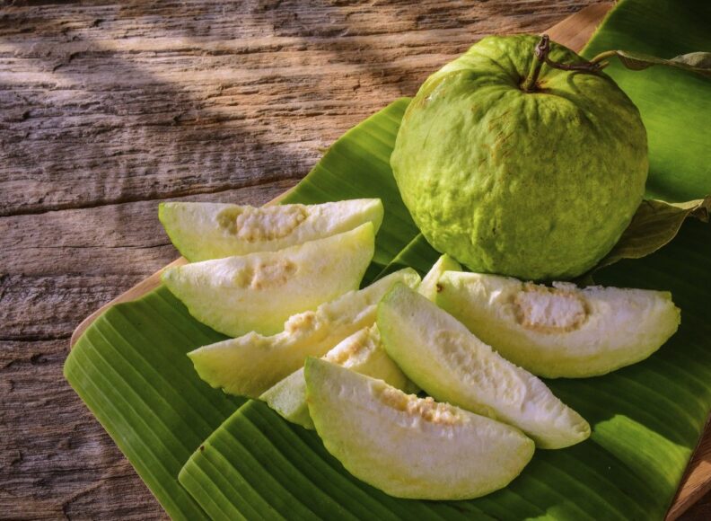 Hình ảnh quả Ổi