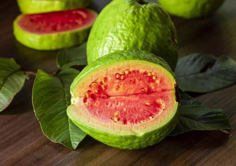 Hình ảnh quả Ổi đẹp, độc đáo