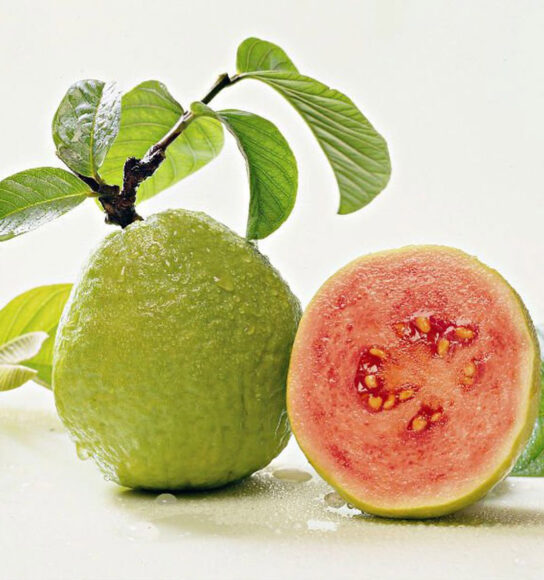 Hình ảnh quả Ổi ruột hồng