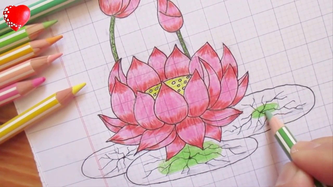 Cách vẽ hoa sen bằng màu nước đơn giản  How to draw watercolor lotus  lotus watercolor tutorial  YouTube