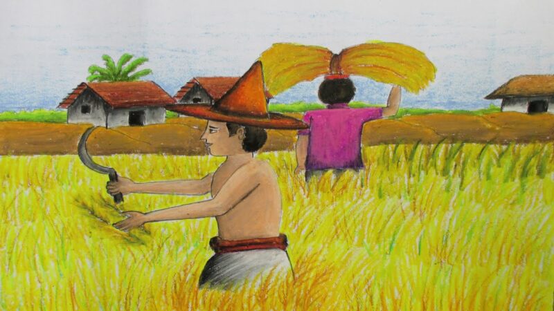 bức tranh chủ đề gặt lúa