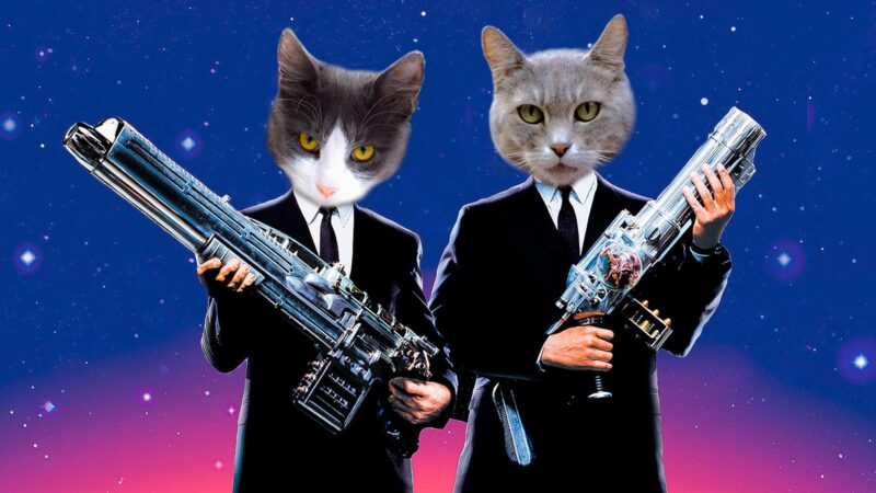 hình ảnh mèo ff chế cầm súng ngầu lòi