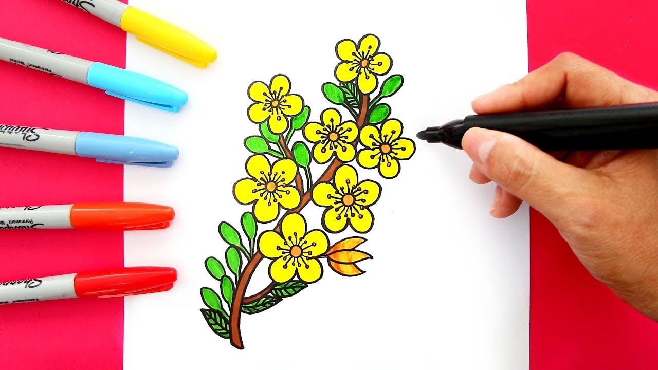Vẽ hoa mai ngày tết  Cách vẽ hoa mai  Mai vàng ngày tết  YouTube