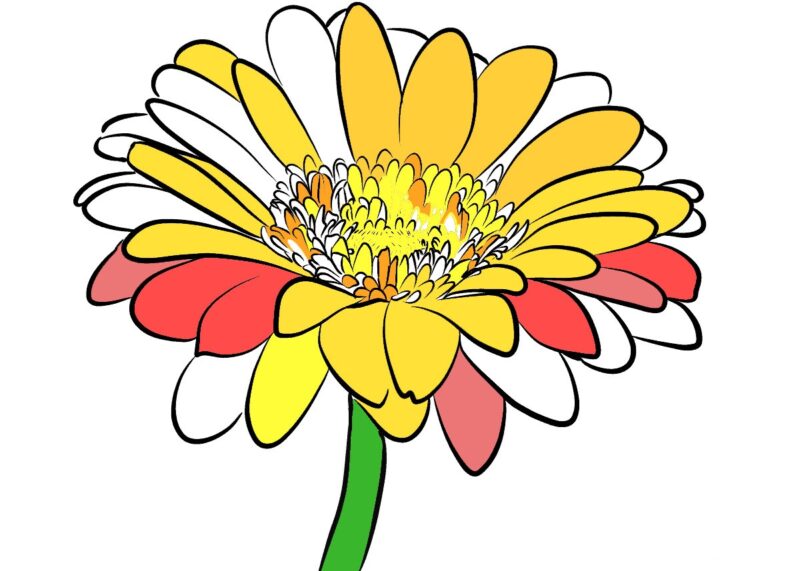 tranh vẽ hoa cúc vàng đẹp đơn giản nhất