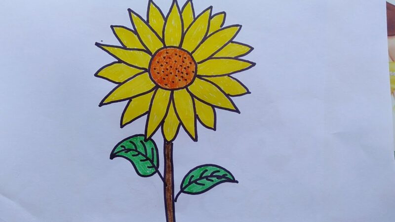 tranh vẽ hoa hướng dương đơn giản của bé lớp 5