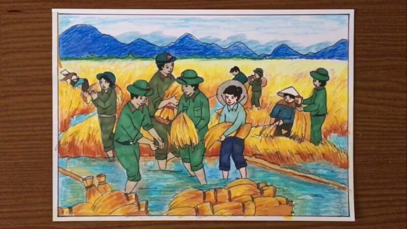 vẽ tranh bộ đội cùng dân gặt lúa siêu đẹp