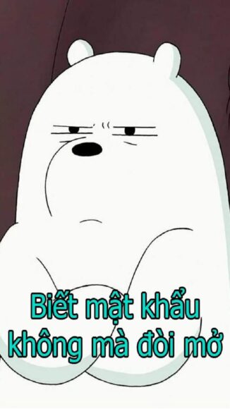 Hình bỏ điện thoại tao xuống gấu trắng