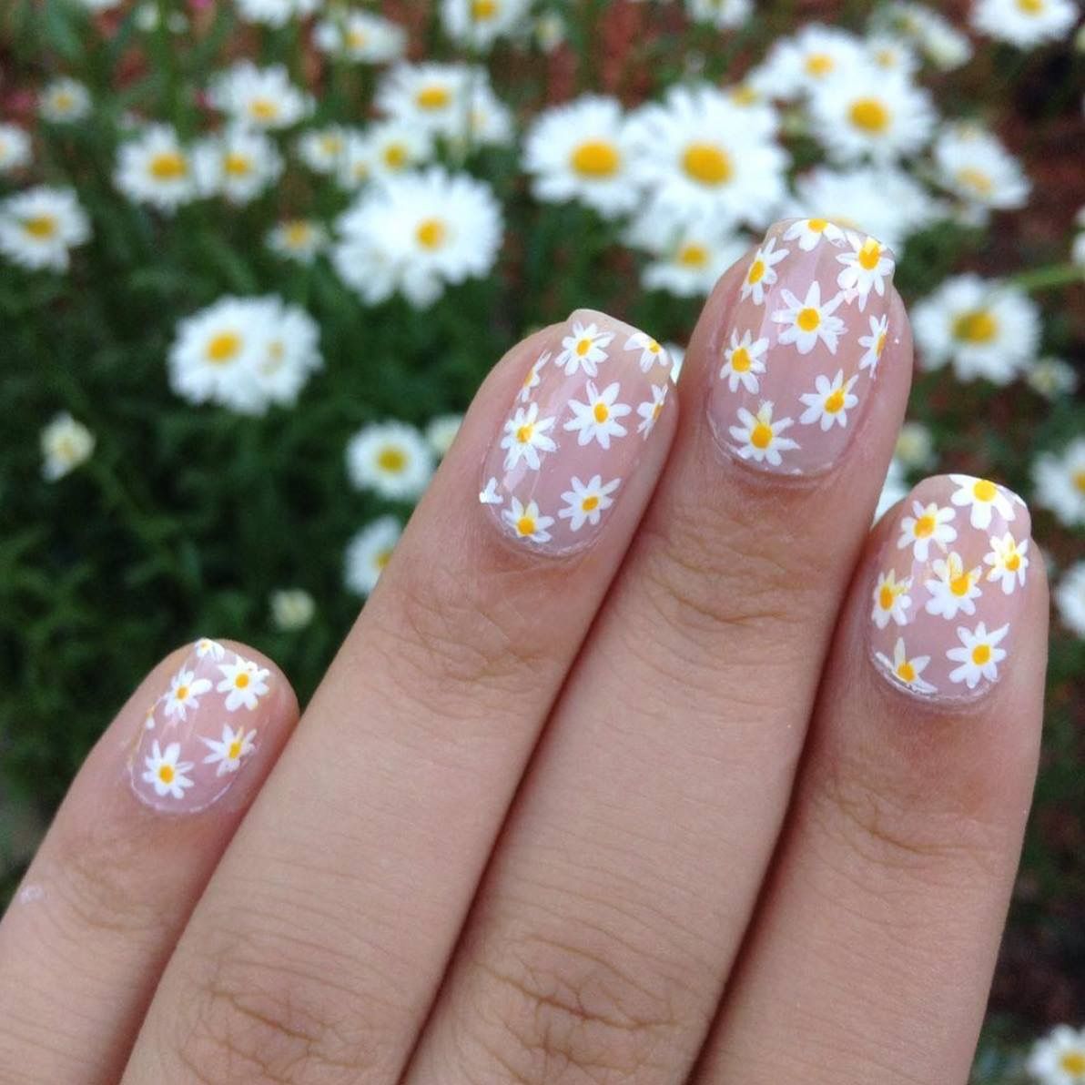 Trang trí nails vẽ hoa cúc họa mi Hoa cúc họa mi nails art YouTube