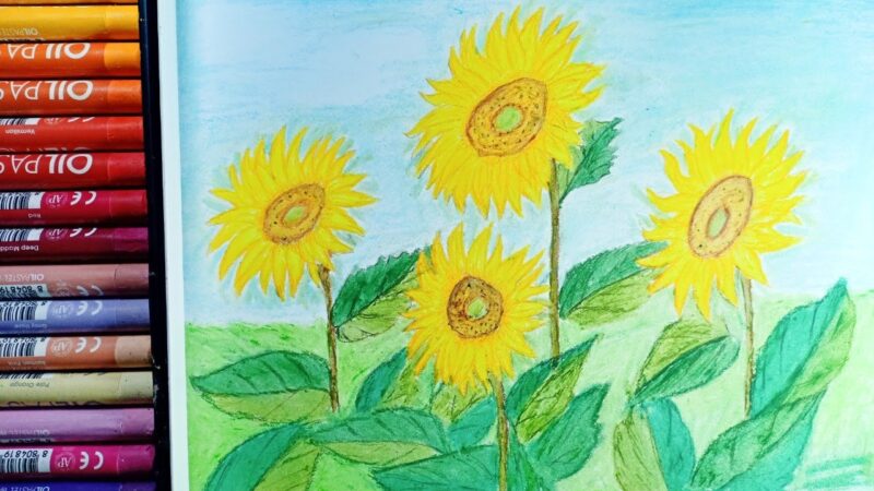Vẽ hoa hướng dương đơn giản bằng màu sáp dầu