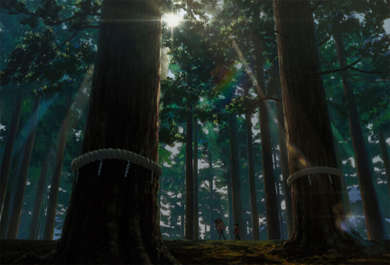 Ảnh Your Name trong khu rừng