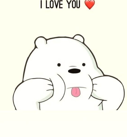 Ảnh avatar gấu trắng cute