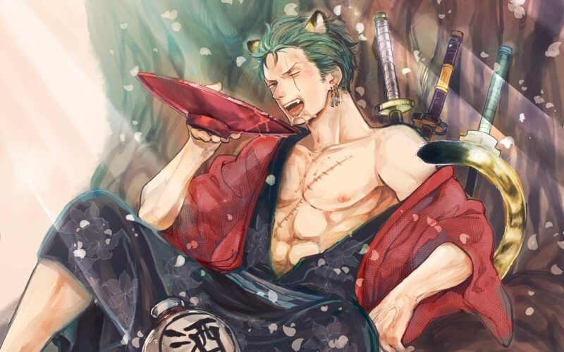 Hình Zoro ngầu và cực đáng yêu