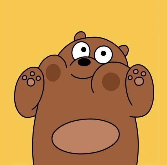 Hình ảnh avatar gấu nâu cute