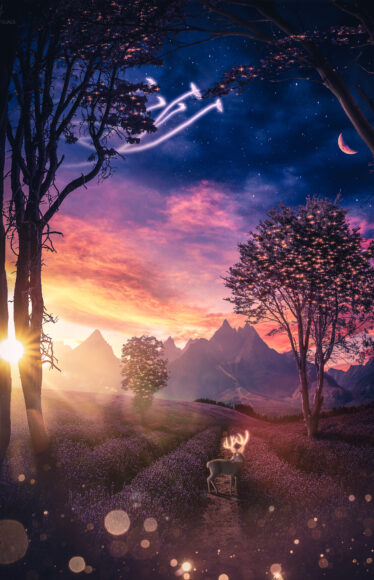 Hình nền tuyệt đẹp cho điện thoại màn hình dài cảnh thiên nhiên