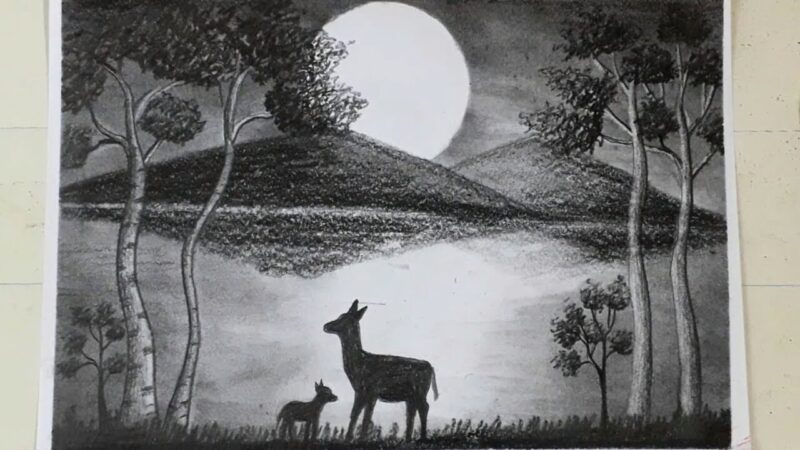 Vẽ tranh đen trắng đơn giản bằng bút chì