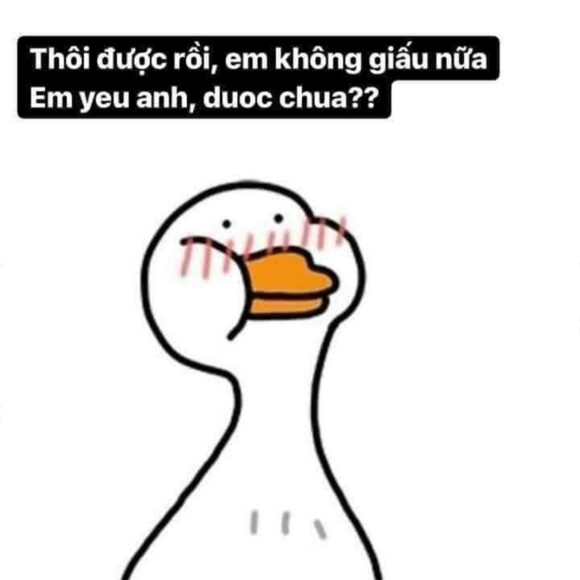 Ảnh meme hài ngại ngùng