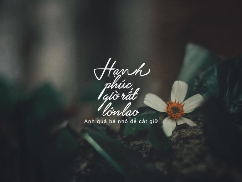 Ảnh nền có chữ về tình yêu