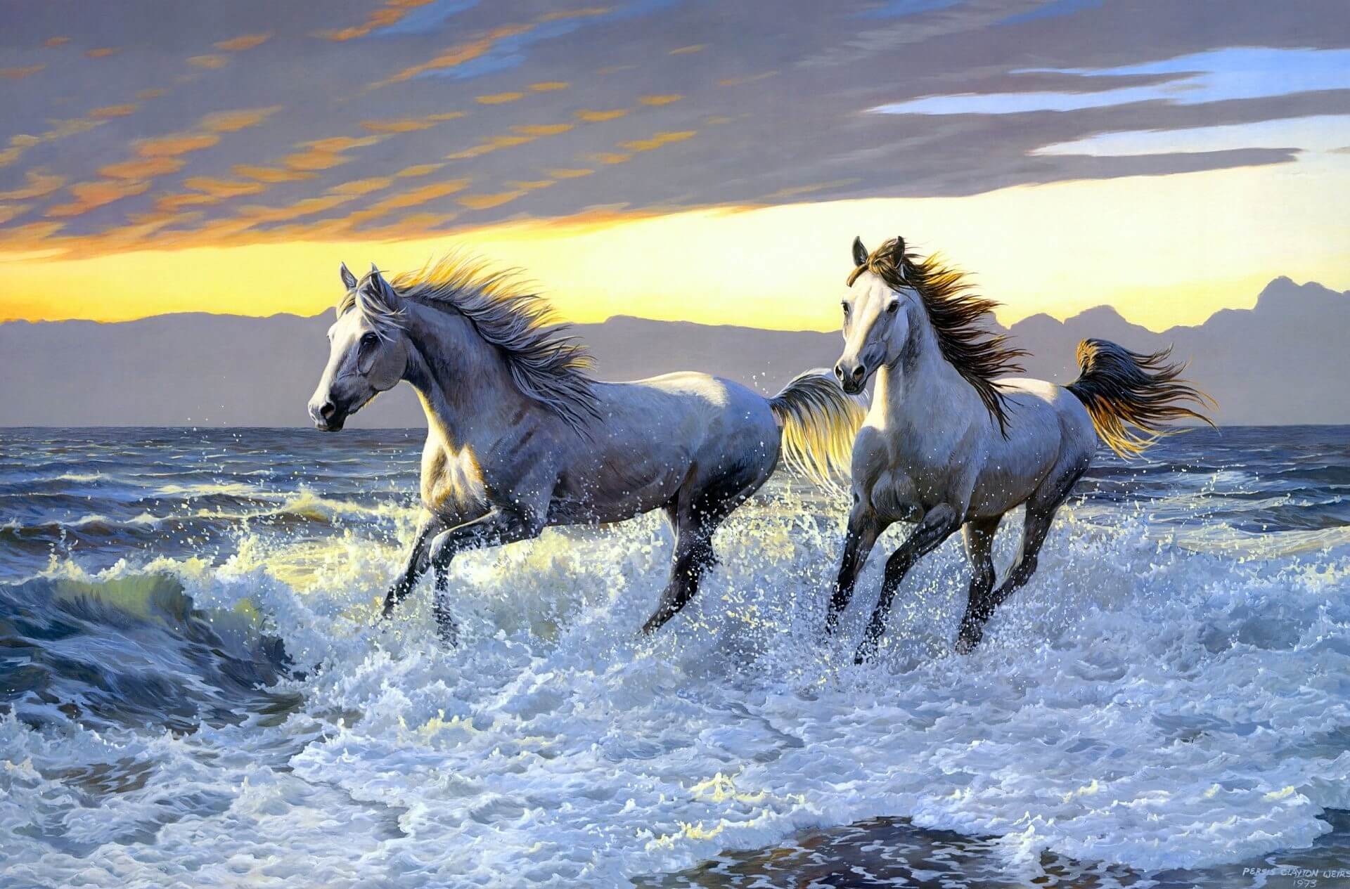 Hình nền mã đáo thành công cực đẹp  Tải hình ảnh ngựa đẹp