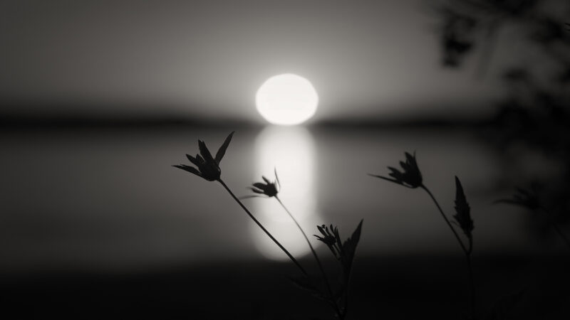 Hình ảnh buồn đám tang dưới bóng trăng