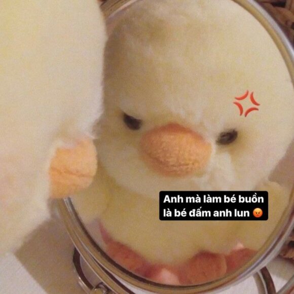 Hình ảnh meme hài vịt con
