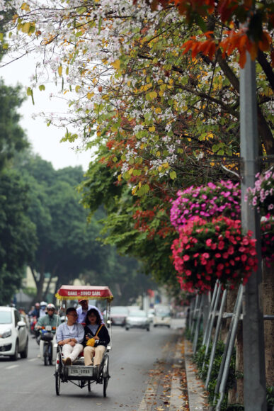 Hình nền Hà Nội đẹp