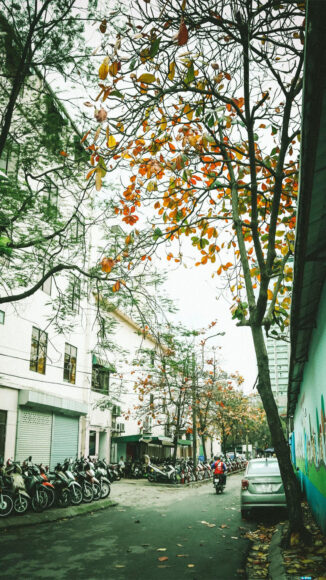 Hình nền Hà Nội đường phố