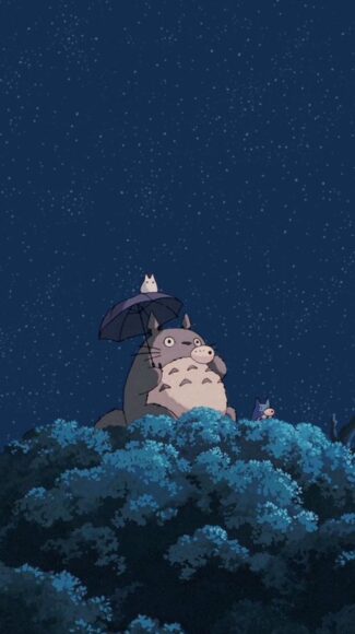 Hình nền Totoro ngắm bầu trời