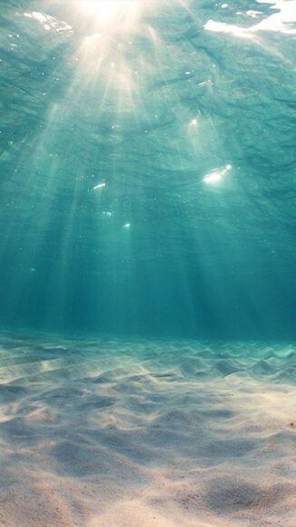 Hình nền biển dưới mặt nước