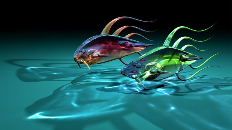 Hình nền cá 3D lung linh