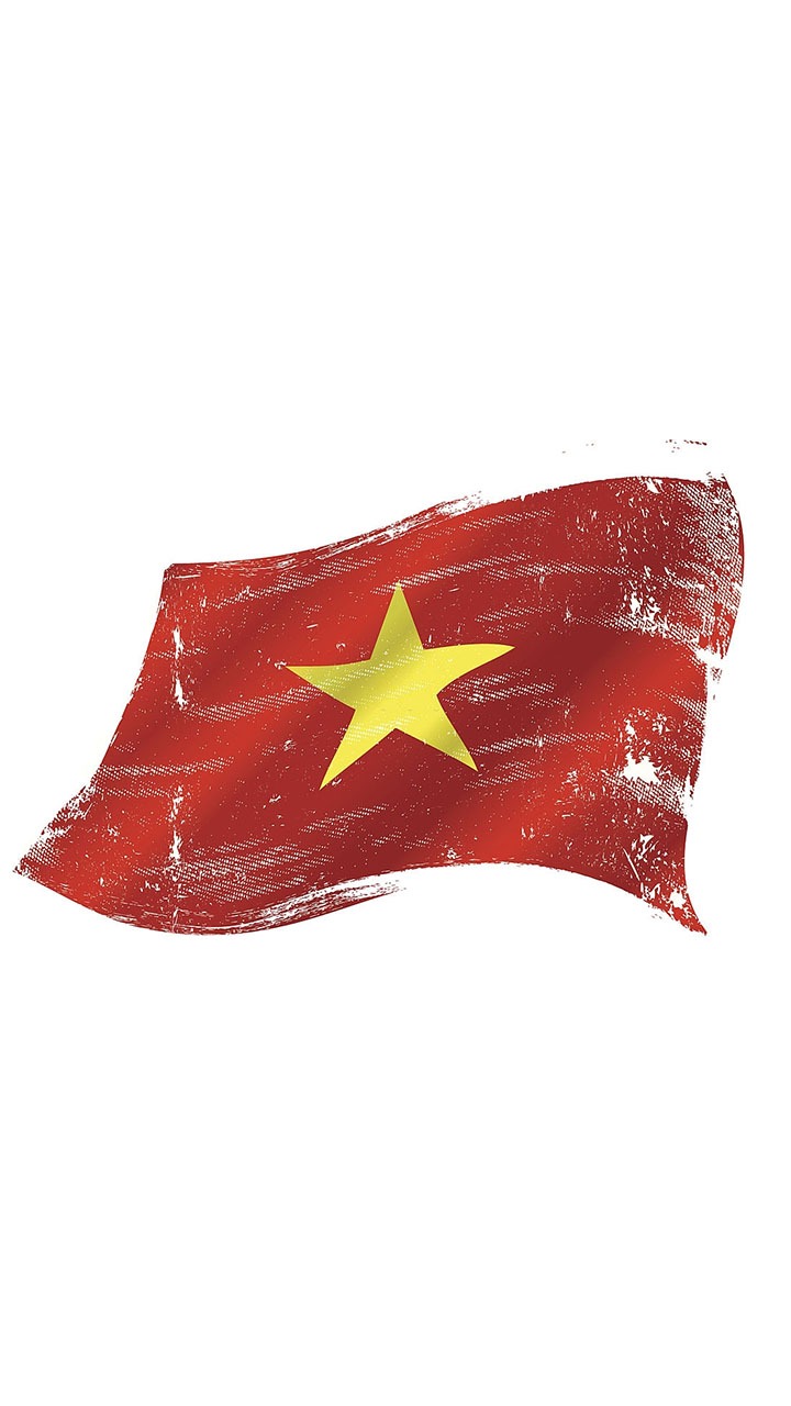 Hình ảnh là cờ Việt Nam  Quốc Kỳ avatar cover  VFOVN