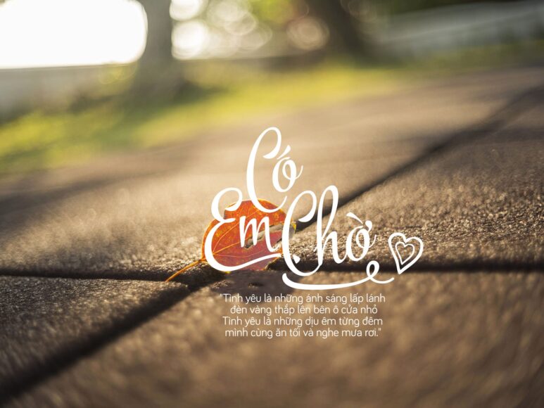 Hình nền có chữ dành cho máy tính đẹp