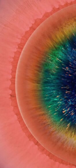 Hình nền điện thoại Oppo độc đáo