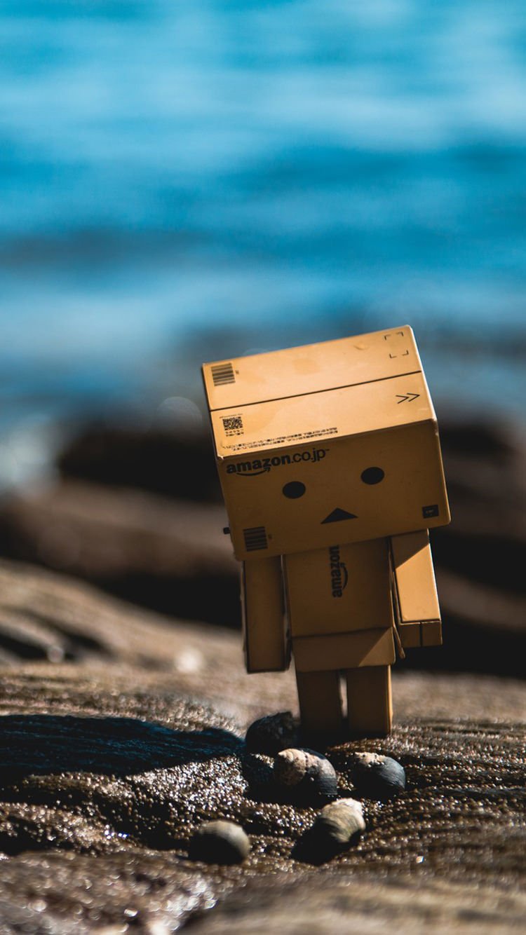 HÌNH ẢNH HỘP GIẤY DANBO CÁ NHÂN SIÊU KUTE