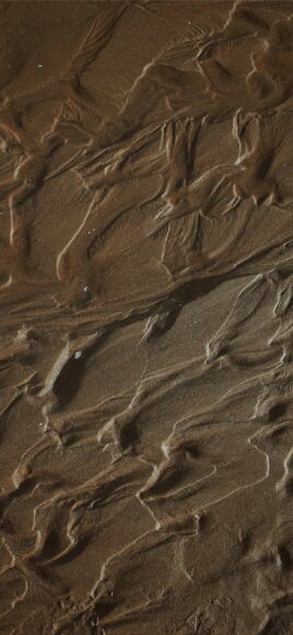 Hình nền điện thoại màu nâu đất