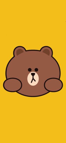 Ảnh nền gấu nâu đẹp