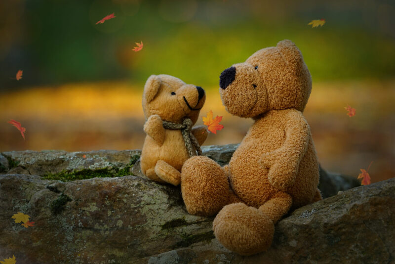 Hình nền gấu trong tình yêu