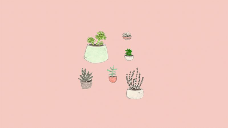 Hình nền màu hồng pastel trơn đáng yêu