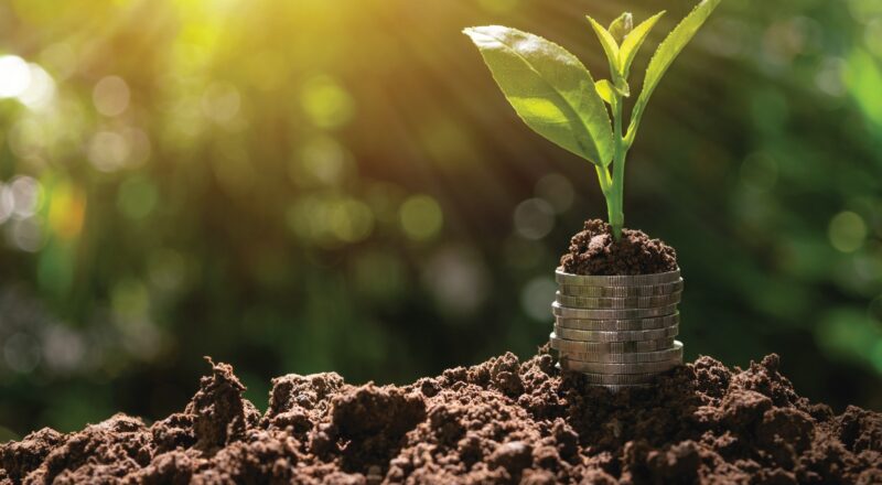 Hình nền phong thủy cho mệnh Thổ