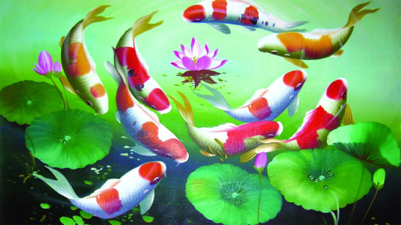 Hình nền phong thủy hình cá Chép