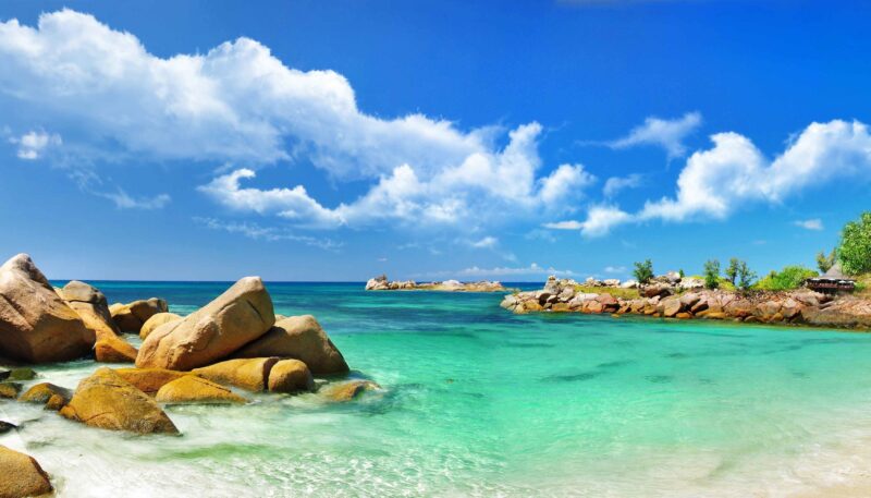 Hình nền phong thủy mệnh Mộc