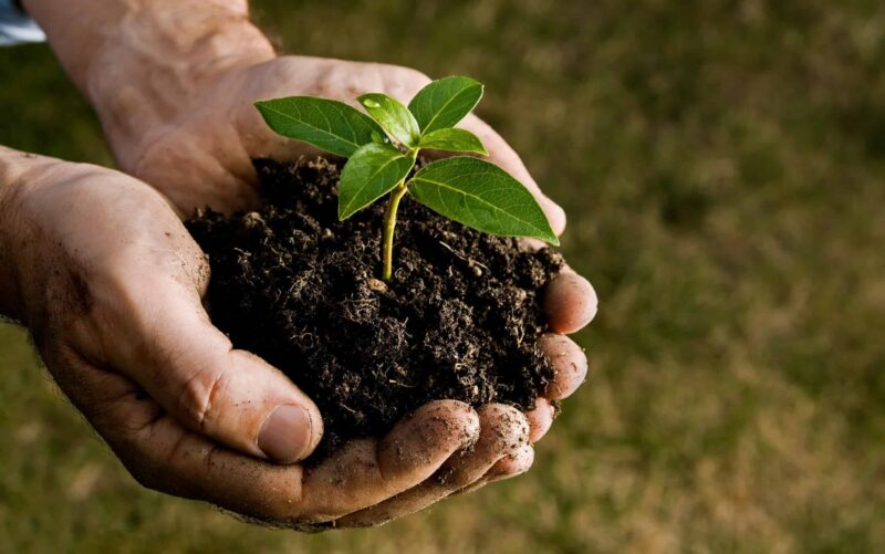 Hình nền phong thủy mệnh Thổ