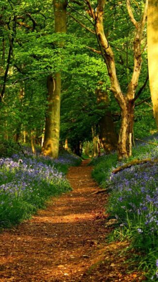 Hình nền phong thủy mệnh Thổ cực đẹp