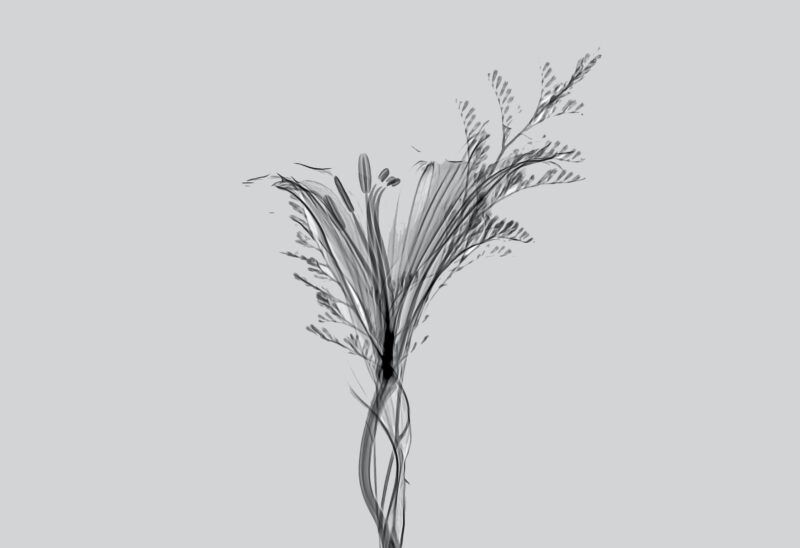 Hình nền xám đẹp