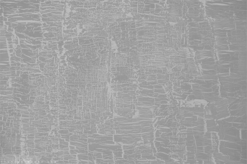 Hinh anh hoa tiet chi tiet mau xam