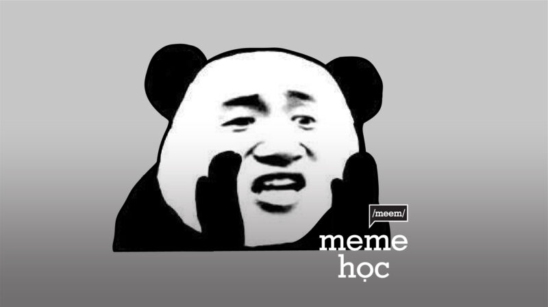 Meme hài Gấu Trúc