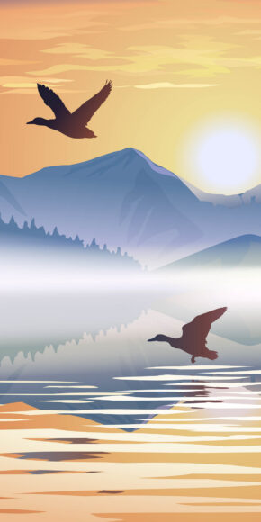 ảnh nền tối giản chim trời